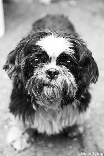 big eyes watching you